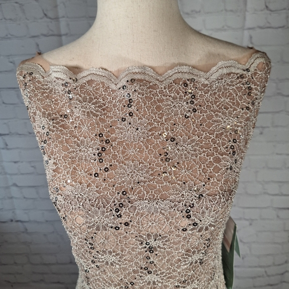 NWT $90 J. Taylor Lace Sequin Cocktail Dress, Size 12, Taupe/beige - Picture 3 of 11